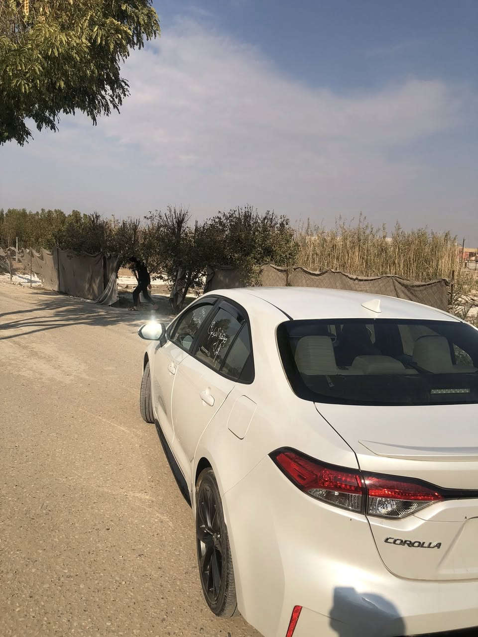 السلام عليكم كورلا هايبرد se للبيع موديل٢٠٢٤ ضربته جاملغ ايمن بدون صبغ مكفوله من اللغود والشواصي رقم بغداد السعر ١٧٠
***********
