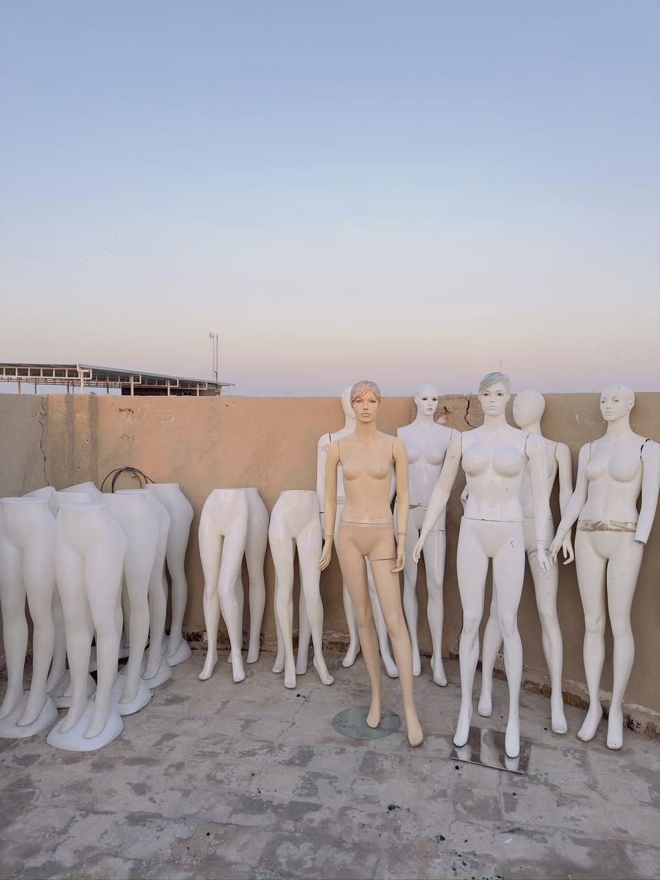 مليكانات للبيع ب ٢٠ فقط  مكاني نجف مكتب الرشيد ***********
