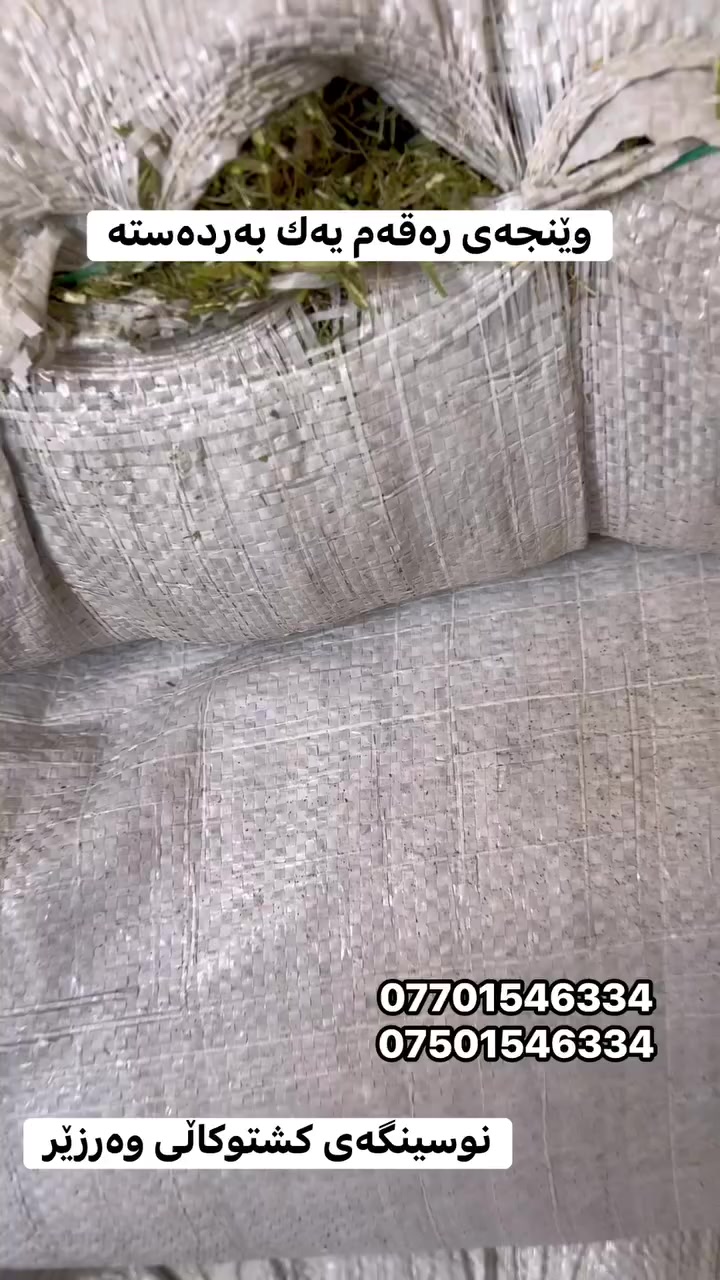 ***********
***********
