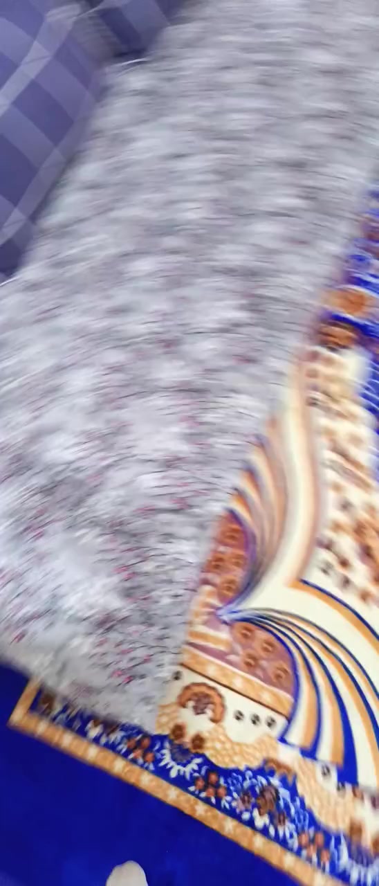 للبيع
زوليات عدد 2 مقاس 2.3 جدد استعمال شهرين نظاف سعر الواحد 20 الف
أوتي جديد استعمال مرتين ب 15 الف
صوبية نظيفة ب 10
كربلاء منطقة فريحة شارع جامعة كربلاء
تواصل ماسنجر


**إذا كنت صاحب هذا الإعلان وتريد حذفه لأي سبب، رجاءا أرسل رسالة إلى الدعم الفني**