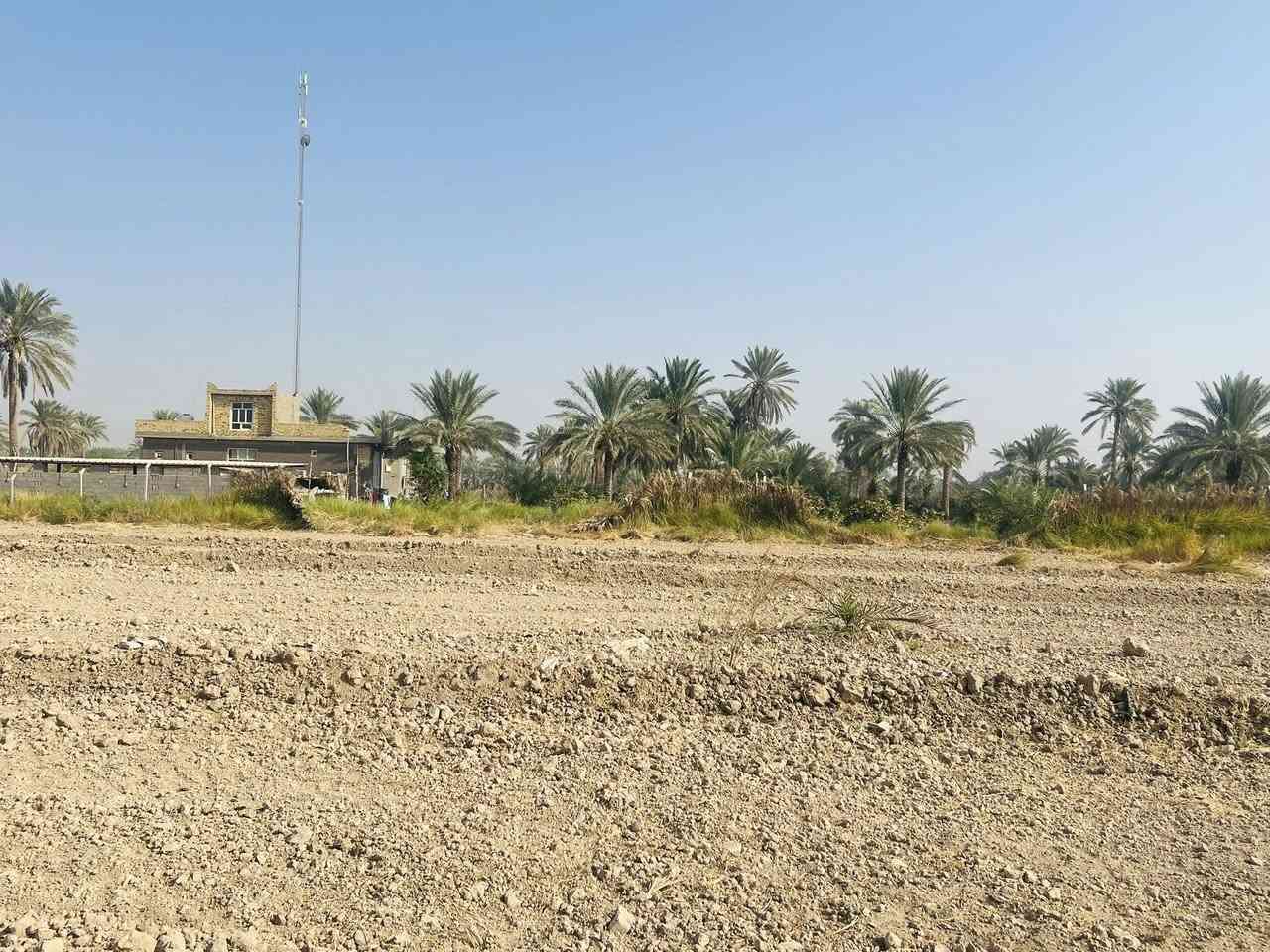 سلام عليكم ارض زراعيه +دار 
المساحه (3) دونم 
العنوان طريق كربله - نجف عمود 256 ام عجه 
كافت الخدمات 

‭0783 885 1910‬
