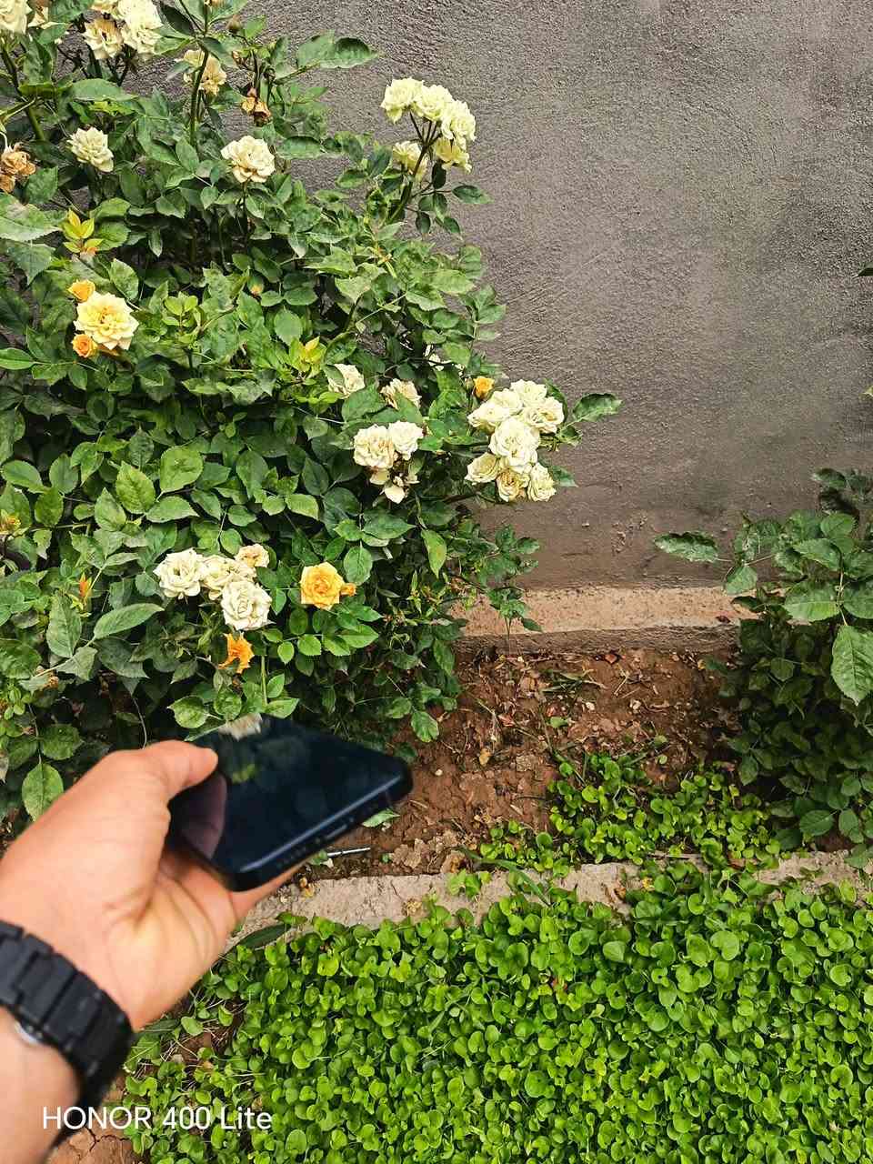 الصور تحجي والنظافه دايما lphone 13 مكاني كركوك حويجه جهاز مامضروب برقي ابد بعد حاله وكاله ***********.
