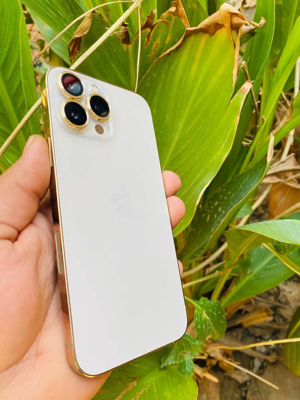 ايفون13ابرو ماكس ذاكره 256بطاريه 84 الجهاز وتر ابرو شخط مابي النموذج mامريكي اصلي الجهار نضافه مليار مال جناي السعر 725وبي مجال قليل  او تصال عل رقم ***********
