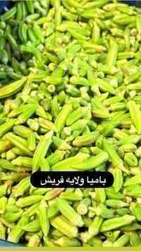 مسواك جديد • توصيل السماوة • سماوه ال باني