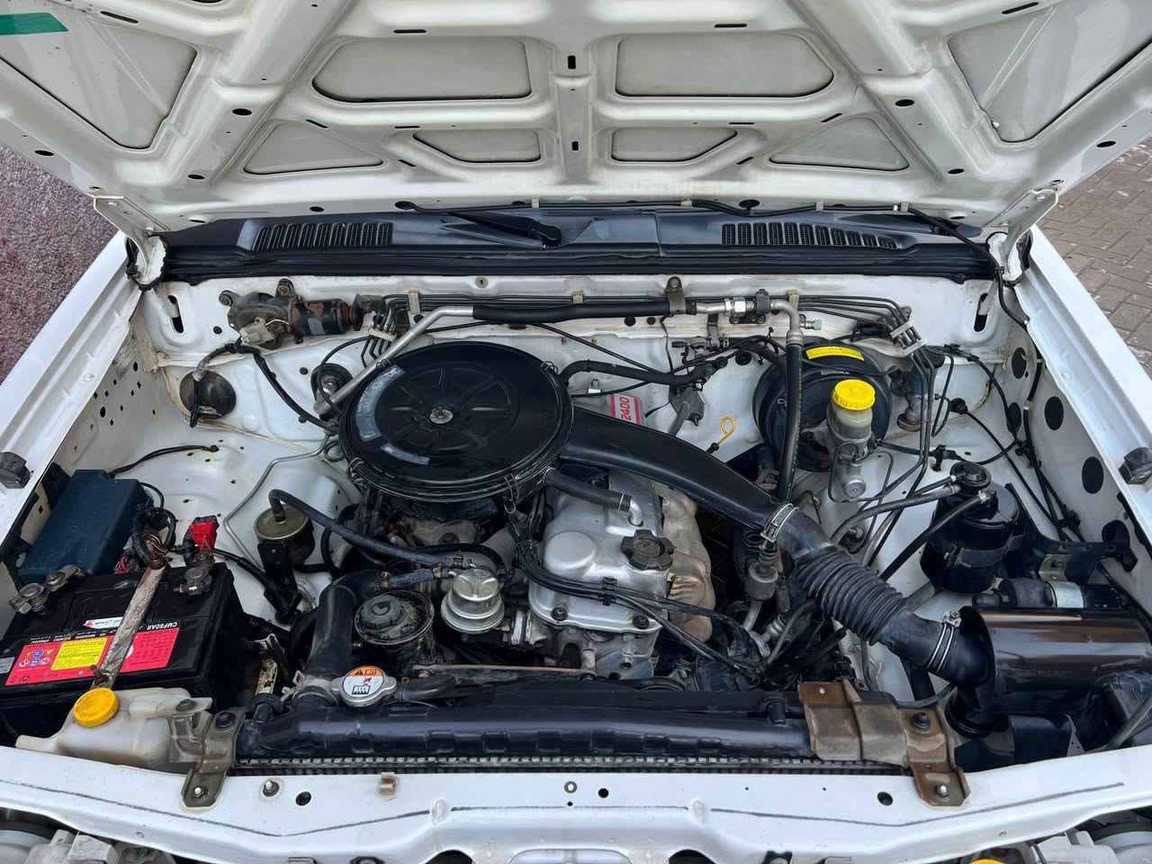 السلام عليكم بيكم نيسان تك خمس حلقات مديل 2002سياره مكفوله كفاله عامه مكينه كير حداديه اكسن  كهربائيات باورإسترين  تبريد وتدفئ  مكفولات من صبغ وتبديل على وضع الشركه بيه ملاحضات/بيه تعمير بارد من صفحه البدي السايق قليل / سياره رقمه بغداد 
سعره:90ورقه وبيه مجال للاتصال على الرقم او الاواتساب *********** 
***********
