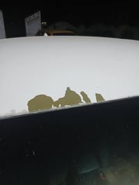 النترا • ٢٠١٩ • وارد امريكي