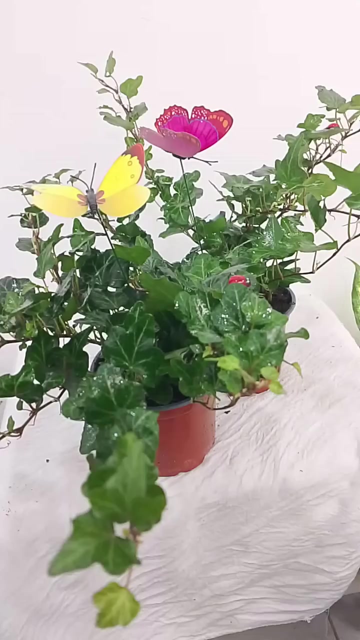 توصيل داخل كركوك وخارج


**إذا كنت صاحب هذا الإعلان وتريد حذفه لأي سبب، رجاءا أرسل رسالة إلى الدعم الفني**