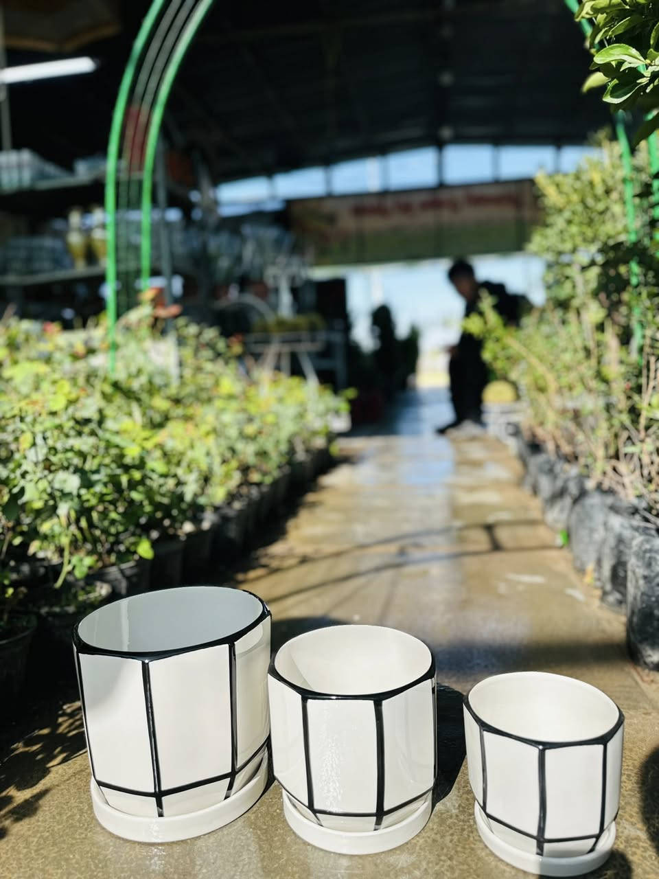 🌸اللهم صل على محمد وال محمد 🌸
🍃مشتل ابو مهدي الحسني 🍃
وصول السنادين الزجاجيه نوعيه ممتازه 
العنوان صلاح الدين قضاء بلد
 شارع الفرات قرب نافورة الحي الصناعي 
📞***********📞
