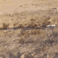 بلاش صار الطابوك سلام عليكم انخفاض أسعار الطابوك احسن من الايام السابق...