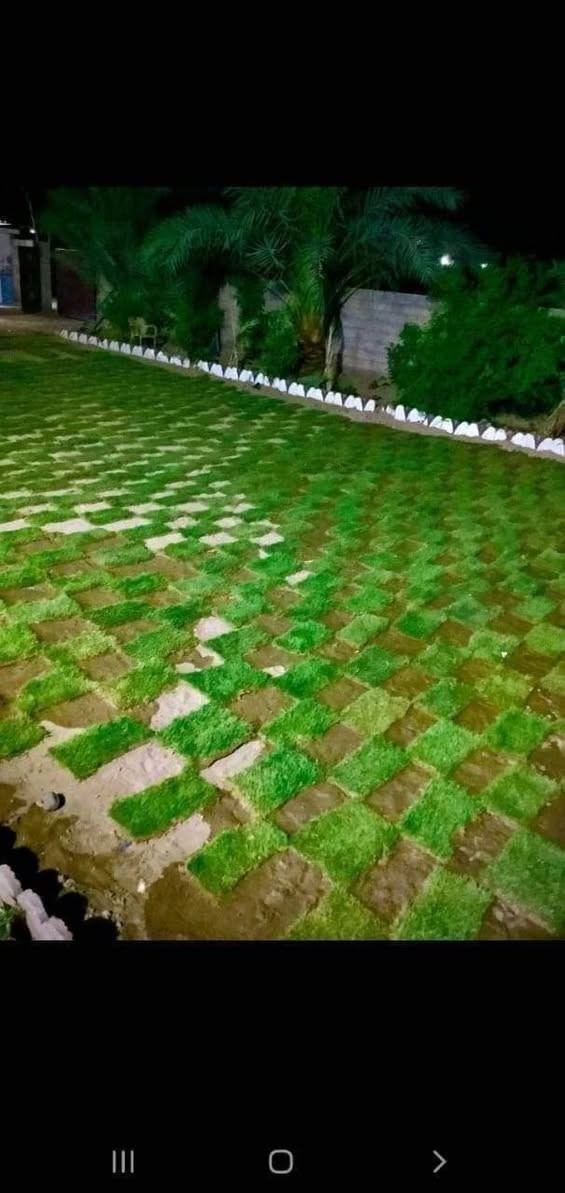 للبيع الثيل الاجمل الثيل الطبيعي بكافه انواعه
ثيل درجه اولا
للاتصال ***********
