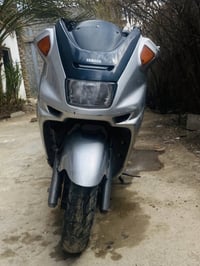 ماجسته • ٢٠١٠ • شغاله