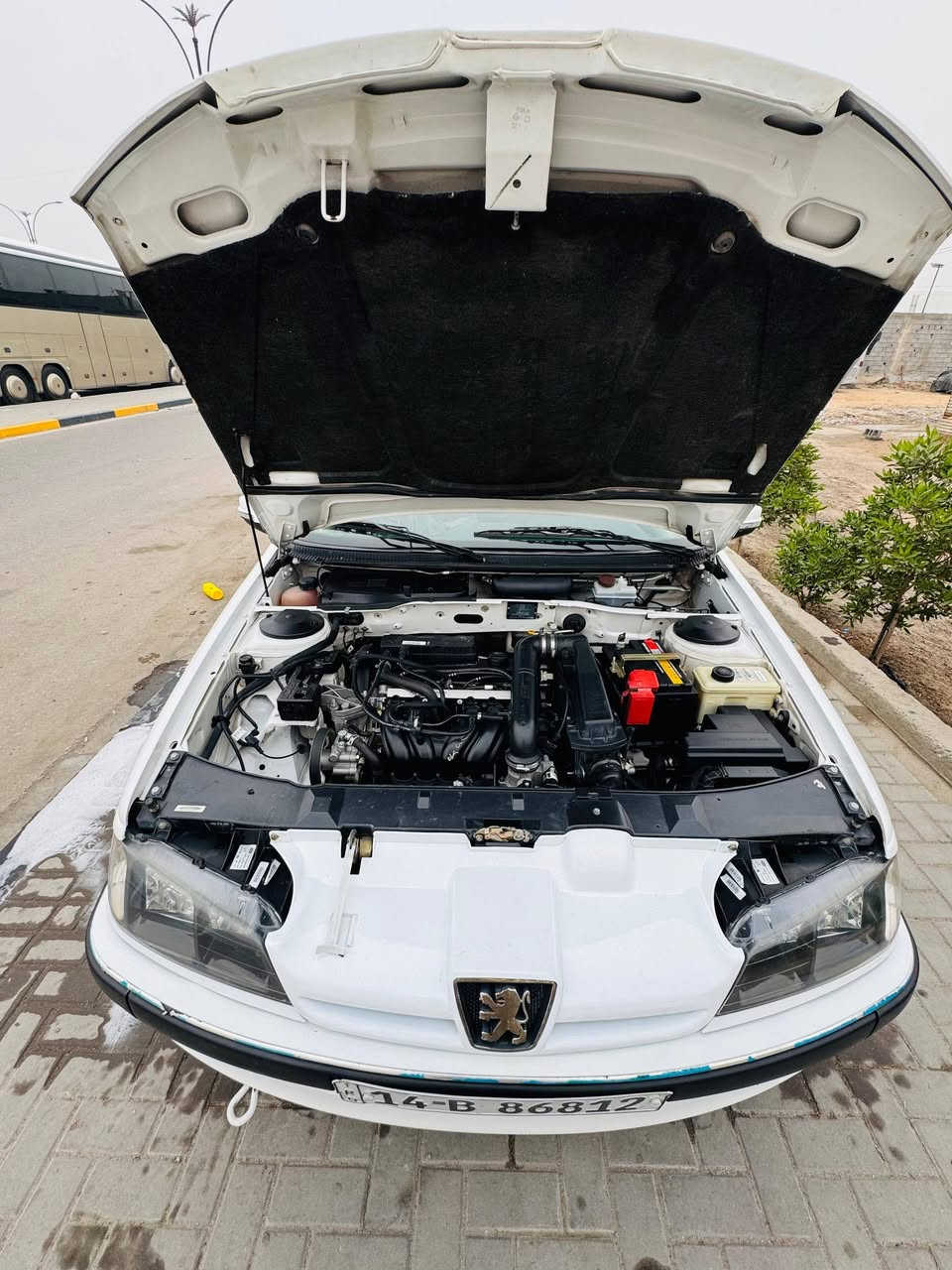 بيجو بارص مديل 24 سياره كفاله عامه ماشيه 55 اقصاد ستقطاع مباشر موصفاتهه معروفه حساسات كامره تحكم ستيرن كشن كهرباء كفاله عامه لاضربه لانبديل لاصبغ لابارد سعرهه 82 بيهه مجال العنوان بصره دور الشرطه ***********
