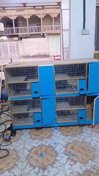 الرقم:07803849655