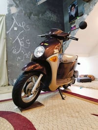 فلة • مكفولة • مراوس بوليس