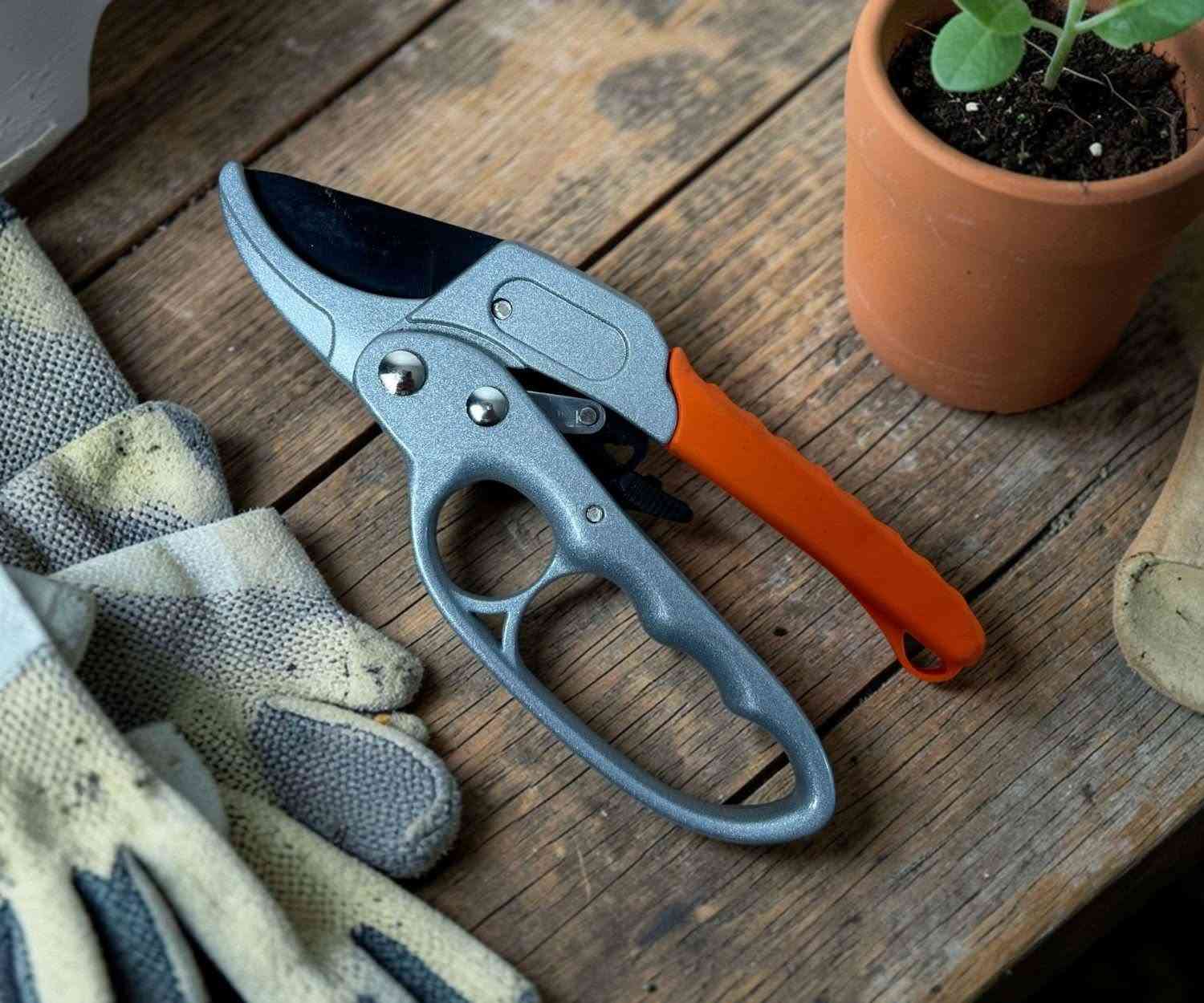 ✨ مقص تقليم الأشجار المثالي لحديقتك! ✂️
🔧 حواف حادة لقص دقيق وسهل لجميع أنواع الأشجار.
🌳 مع مقبض مريح ضد الانزلاق لراحة أكبر أثناء 
💪 قوي وفعال لقص الأغصان والأوراق الجافة في ثوانٍ!
🏡 مثالي للحدائق المنزلية والمحترفة.
🌿 حافظ على نباتاتك بأفضل شكل مع هذا المقص الفعّال.
يوجد خدمة توصيل لجميع المحافظات بغداد, العراق


**إذا كنت صاحب هذا الإعلان وتريد حذفه لأي سبب، رجاءا أرسل رسالة إلى الدعم الفني**