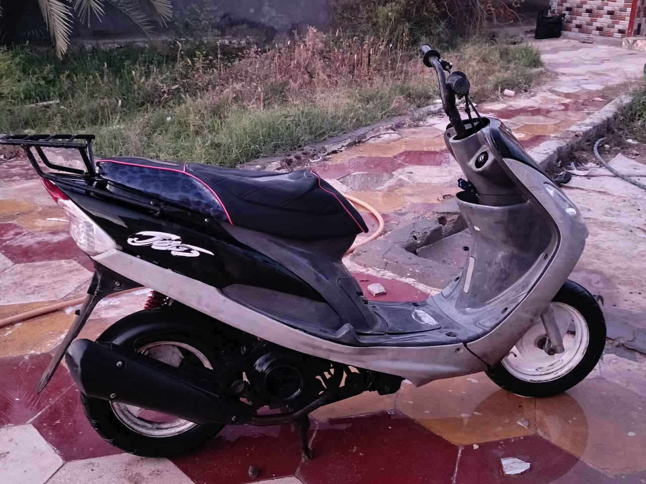 للبيع ماكس منغولي ب350
***********
