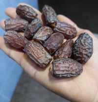 فسائل • بريم • الصويره واسط