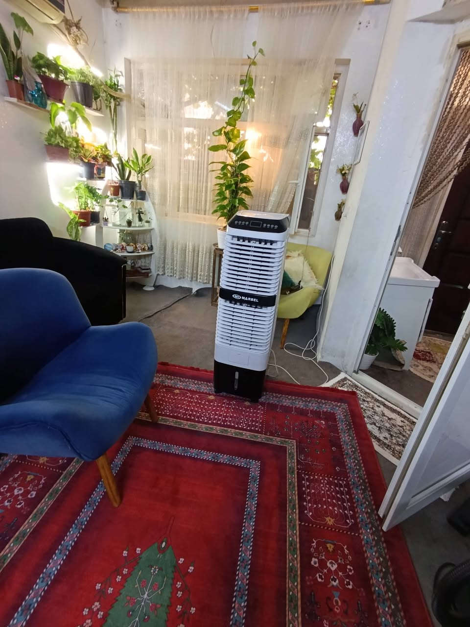 سی دوومەنگە بەکاڕ هاتووە شۆینی  من هەوای دەڕجانی بویە دەی فرۆشم


**إذا كنت صاحب هذا الإعلان وتريد حذفه لأي سبب، رجاءا أرسل رسالة إلى الدعم الفني**