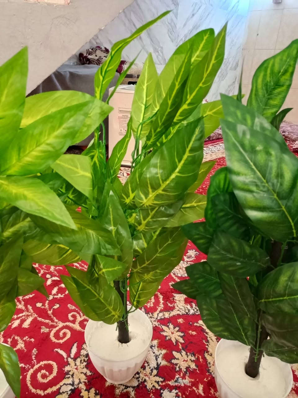 ،،،،،،،،،،،،،،، مشتل الجمعيه..................
لكثره طلب الزبائن توفر وجبه جديده من الزرع الصناعي
ارتفاع 70 سم السعر 8000....2ب...15000
الدجيل الجمعيه خلف الدفاع المدني 
للاستفسار *********** واتساب مازنجر 
توجد لدينا خدمه توصيل داخل الدجيل 💯
