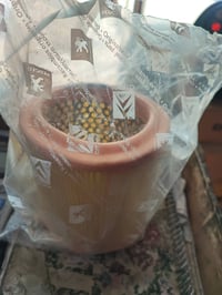 فلتر شوته • بيجو 306 • اصلي