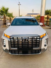 باليسايد • ٢٠٢١ • وارد امريكي