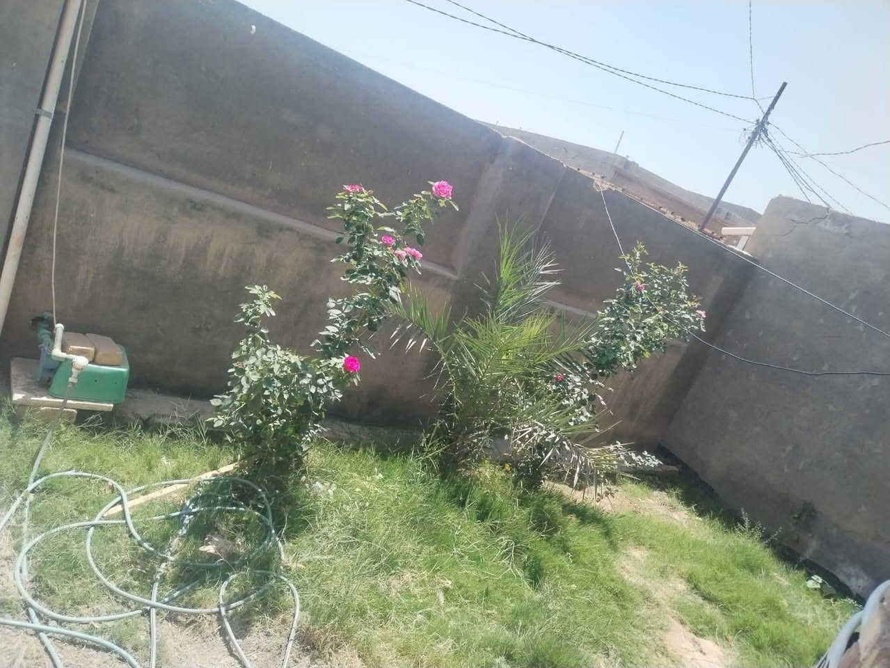 دار للبيع مساحتها 230متر ع طريق المعاره خلف الحسنيه مال العويسات يبعد عن شارع العام 200متر بناء حديث طابوك وصب كونكريت متكون من 
غرفة نوم 5*5
استقبال 4*8ونص 
صاله 4*8ونص 
مطبخ 5*5
مجمع صحيات دخليه 4*4
مجمع صحيات خارجيه 
سعرها 65
أي استفسار اتصل على الرقم التالي 
***********
