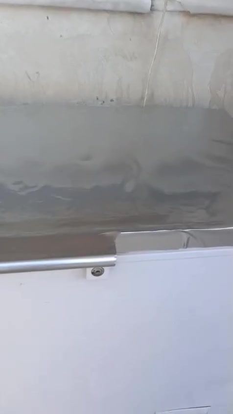 مجمده للبيع حجم كبير بسعر مناسب 150الف


**إذا كنت صاحب هذا الإعلان وتريد حذفه لأي سبب، رجاءا أرسل رسالة إلى الدعم الفني**