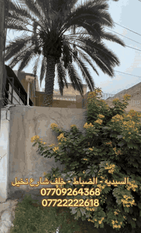 🏡 أرض للبيع بسعر جدًا مناسب المساحة الكلية: 125 م² الواجهة: 5 متر النز...