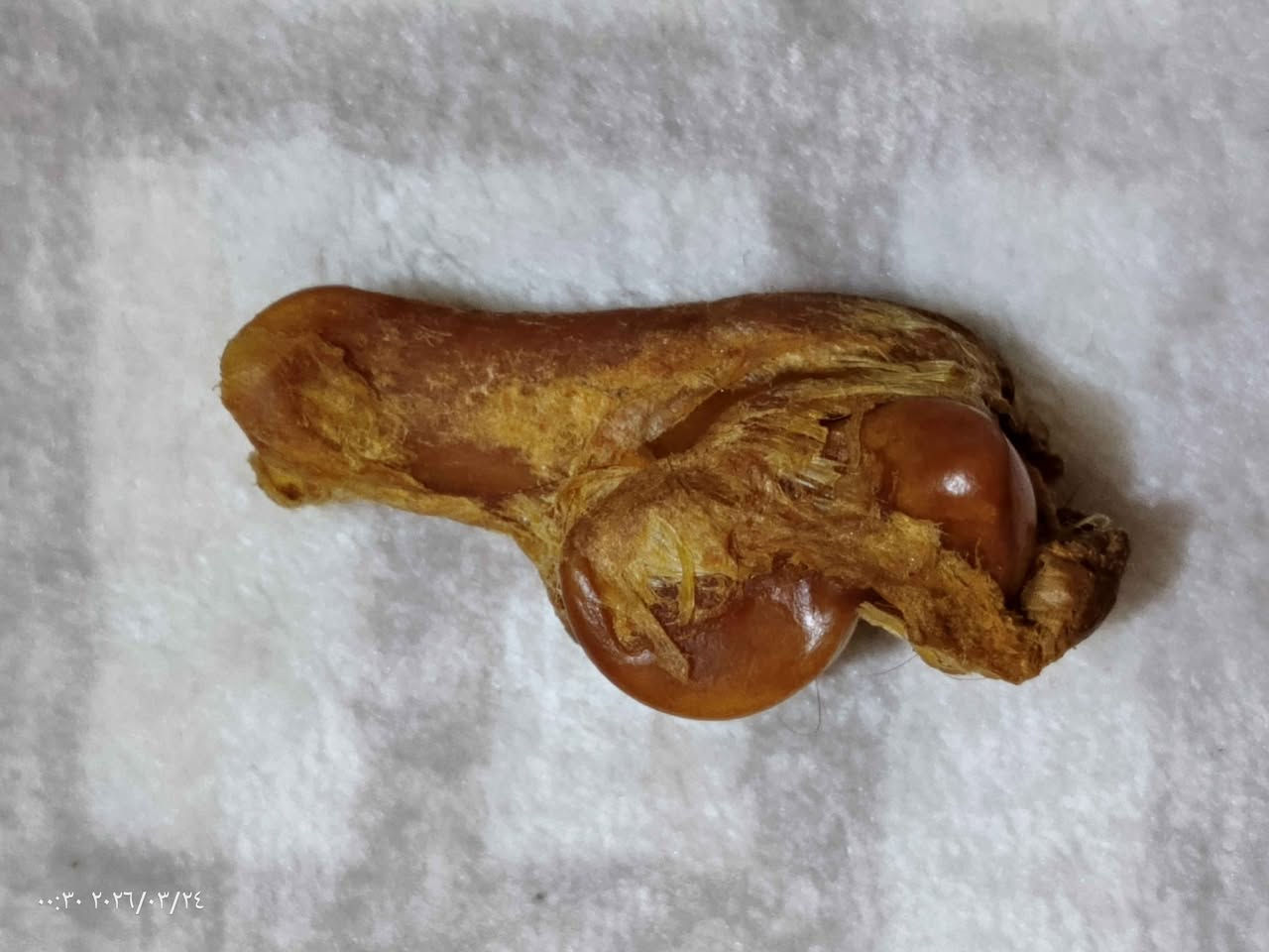 كعب الذيب فوائده لجلب الحظ وعلاج للمفاصل البصرة, العراق


**إذا كنت صاحب هذا الإعلان وتريد حذفه لأي سبب، رجاءا أرسل رسالة إلى الدعم الفني**