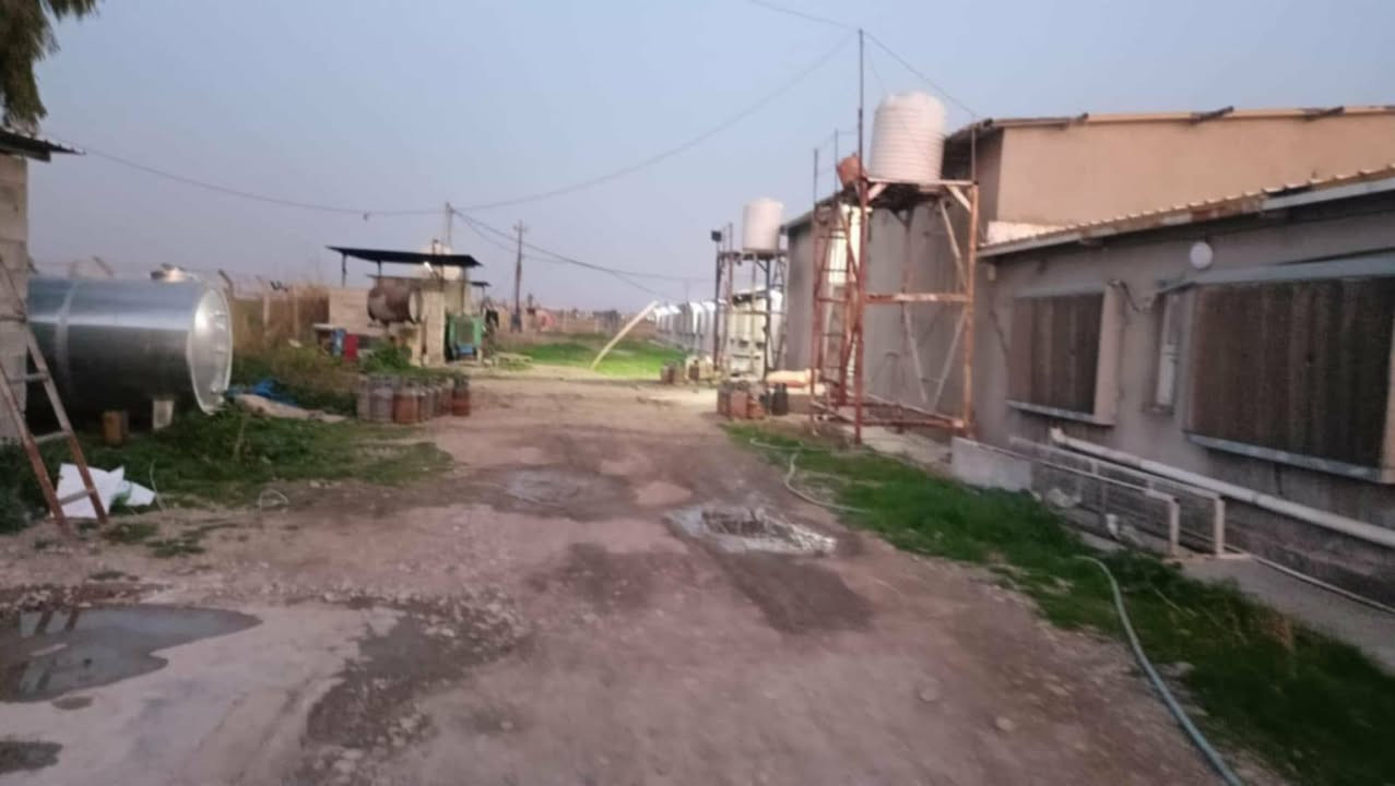 #حقل دواجن للبيع متكامل بدون نقص أو مراوس  🐔🐔🐔🐔
#حلمك يتحقق  معنى  👇👇🐓🐓🐓🐓🐥🐥🐥🐥🐥🐥مشروع حقل دواجن متكامل للبيع مساحة أرض 6 دونم فيها #قاعتين لتربية دجاج اللحم بطاقة عشرين ألف دجاجة المشروع #مسيج بسياج مادة البي ار سي فيه مولدات كهربائية  عدد 2 وابيار ارتوازية اربعه انج جاهز  مع إدارة 🏛️ و مخزن
لمن يود ان يعيش التجربة والربح الاتصال بنا على الهواتف التالية #علما بأن موقع المشروع في ليلان قرب اعدادية الزراعة

 ***********📞واتساب

للمزيد من المعلومات نرجو منكم زيارة مكتبنا🏦 

العنوان،،مكتبنا كركوك شورجة،،مقابل حفتة بازار 
ملاحضة#عربي
يمكنكم إرسال الاراضي والأملاك للأعلان عنه في صفحتنا بدون مقابل 

عنوان كامل للمُلك 📌
كم صورة من المُلك🏡
