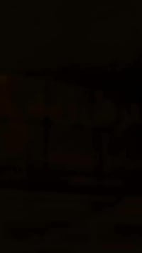 معرض زيد • سجاد ومفروشات • الديوانية شارع الجزائر