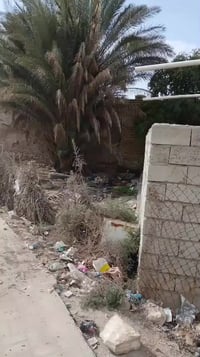 الارض الاستثمار شارع المسبح المساحة 150متر الرقم 07818980295