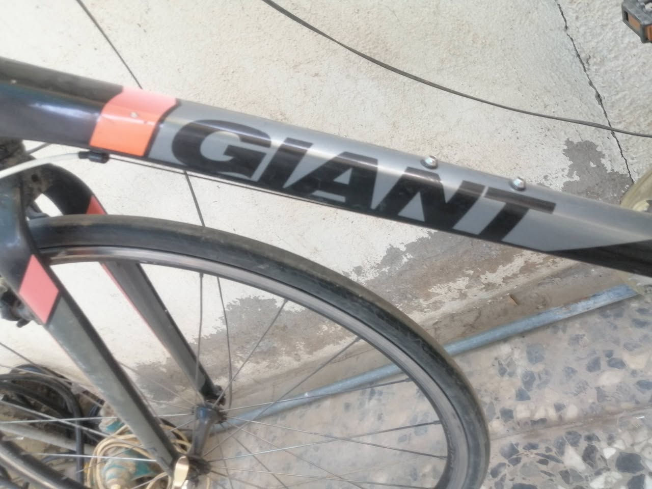 جاينت c700
حديث خليط المنيوم كاربون
دراجه خفيفه وزن كله شغاله سستم شيمانو
200 الف
مكاني بغداد


**إذا كنت صاحب هذا الإعلان وتريد حذفه لأي سبب، رجاءا أرسل رسالة إلى الدعم الفني**