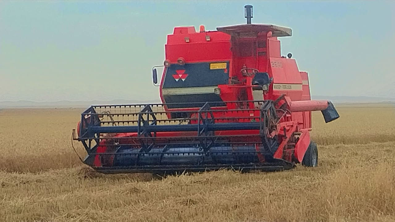 حاصدة فوركسن موديل 99 وضع شركة البيع *********** كورك ***********
