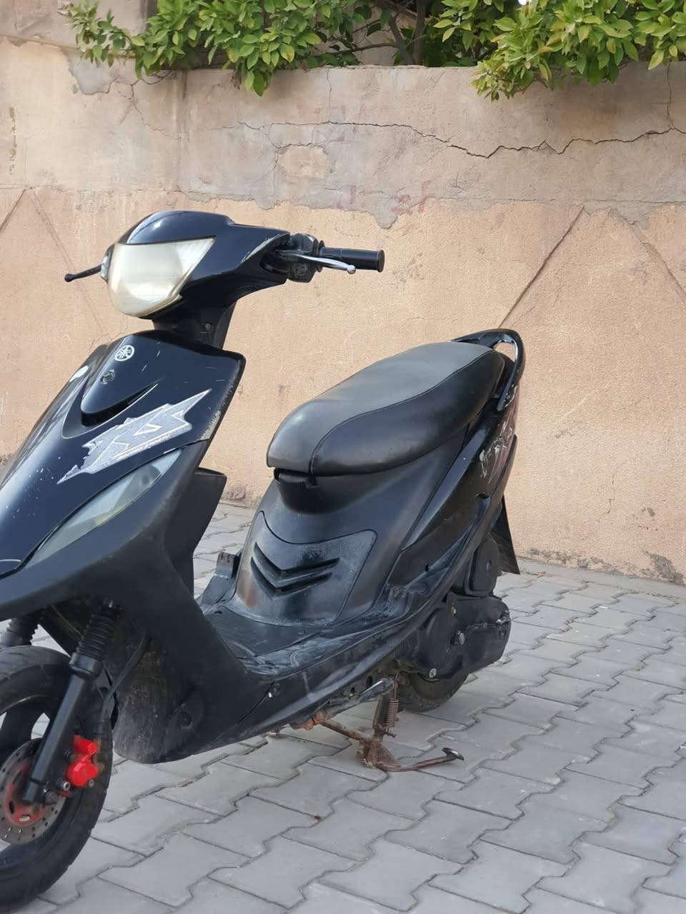 ماكس عدله  بلاد خير من الله شلعة معدل للبيع 550 وبيهة مجال ***********
