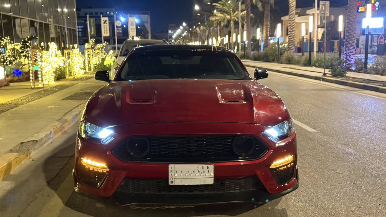 موستنك ايكو بوست تيربو 10 نمر 2021 
مرقم بغداد كامل السيارة باسمي
ماشية 22 الف
لون الكرزي يجي بس بال 2021
بلاك اديشن تجي قمارة ومري سود
بجم ماك وان 
بنيد وجاملغات اماميه ثنيناتهن مبدلات
وضعيات قيادة 5
وضعيات ستيرن 3
شاشة جبيرة كار بلي
تحديد مسار
نقطة عمياء
شفتات ستيرن
كشنات كهرباء
رادارات جانبية امامية
رادارات جانبية خلفية
تشغيل عن بعد
تنزل الجامات عن بعد مانع تصادم
حساسات خلفية
السعر 174$ وبيها مجال وترهم مراوس 
للتواصل : ***********
