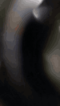 سلام عليكم شباب عدي هاي موديل واحد وعشرين مكفوله كفاله عامه مكينه 25ستوني شديته راح  اخلي رقم صاحب ستوته ***********
