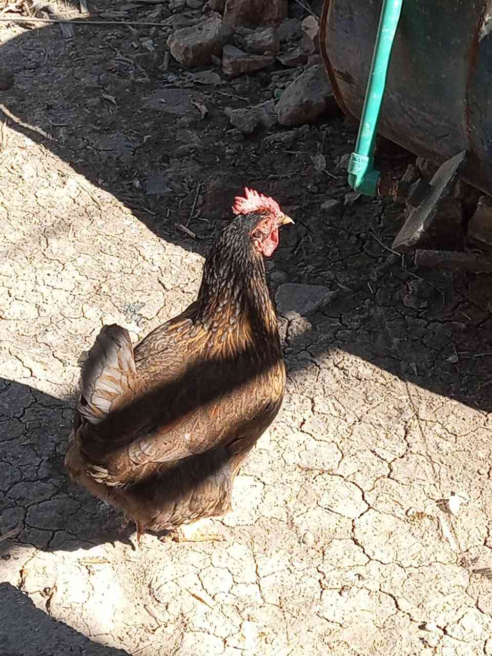 شباب التك على 15 قفل مكاني سبع البور بالالف اني يم مدرسه طه حسين وهاي ارقامي دقوا عليها بخدمتكم.         ***********.       ***********
