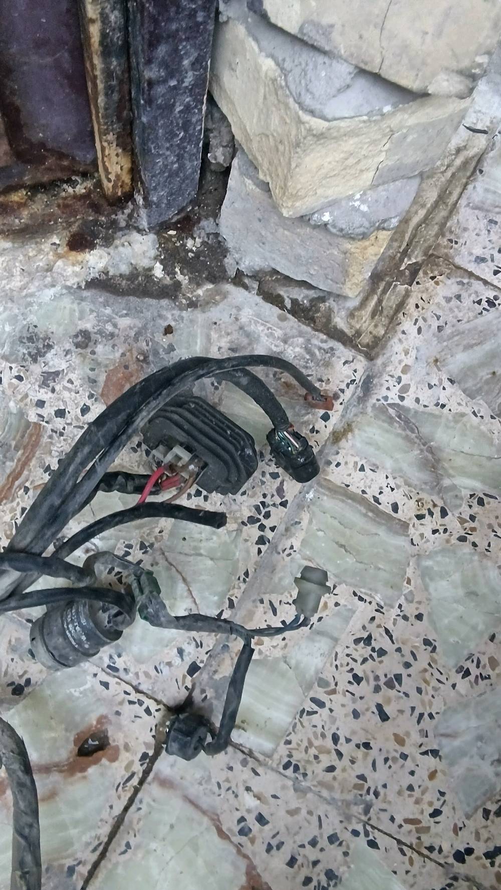 ضفيره نوزل لبيع سعره مكاني بغداد شعب