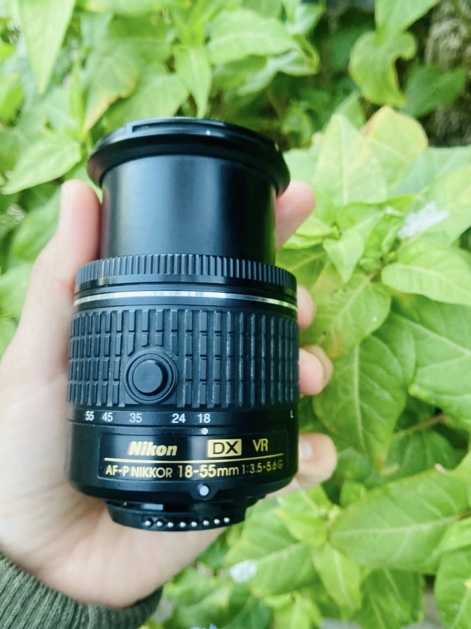 عدسه نيكون 55mm-18 
مستخدمه جداً قليل  السعر مناسب 75مع التوصيل


**إذا كنت صاحب هذا الإعلان وتريد حذفه لأي سبب، رجاءا أرسل رسالة إلى الدعم الفني**