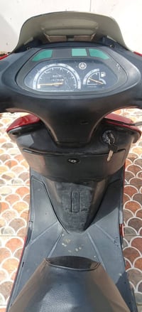 فراشة • فحل • كفاله عامه