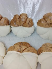 كوشيات تخم الحجز والستفسار   07735593997