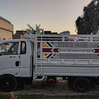 الموصل • باجر • حمل
