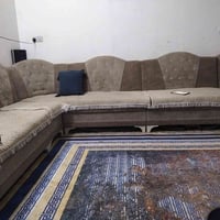 تخم للبيع 10قطع عنوان الشعب السعر  ب100 مستعجل 07744205009