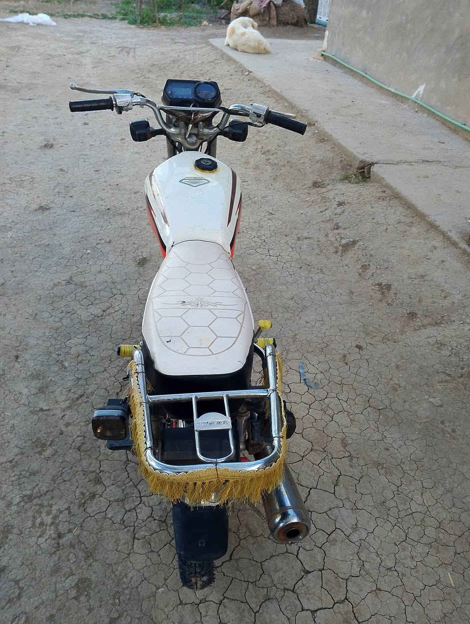 اسلام عليكم شباب عندي دراجه تايكر ما متعوب شلع الدراجه حلوه ومرتبه اوراق اصولي دشبول الكتروني دبشاير اضويه عالي ناصي كله شقال السعر 375او بيها مجال المكان بابل اجبله وحياكم الله هاذا رقم الهاتف ***********موديل 19
