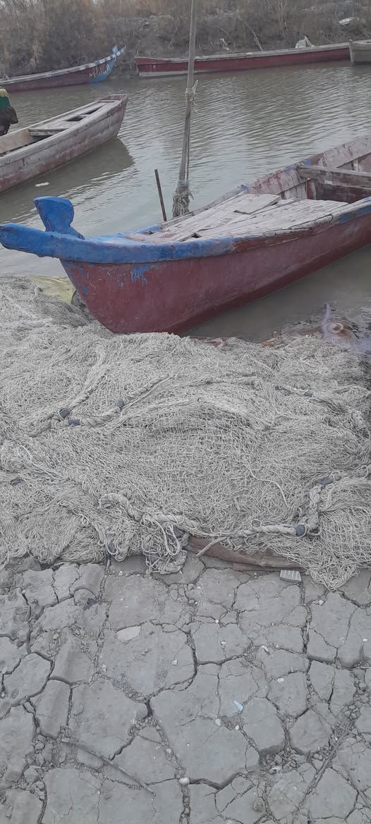 سلام عليكم ورحمة الله وبركاتة بلم للبيع السعر مناسب 225وبيه مجال العنوان ذي قار قضاء الجبايش ناحية المنار للاستفسار الاتصال على الرقم ***********
