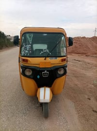 موديل ٢١ • اوراق مصبوغة • بابل