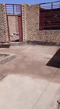 هيكل • حي الحكيم • ٢٤٠م