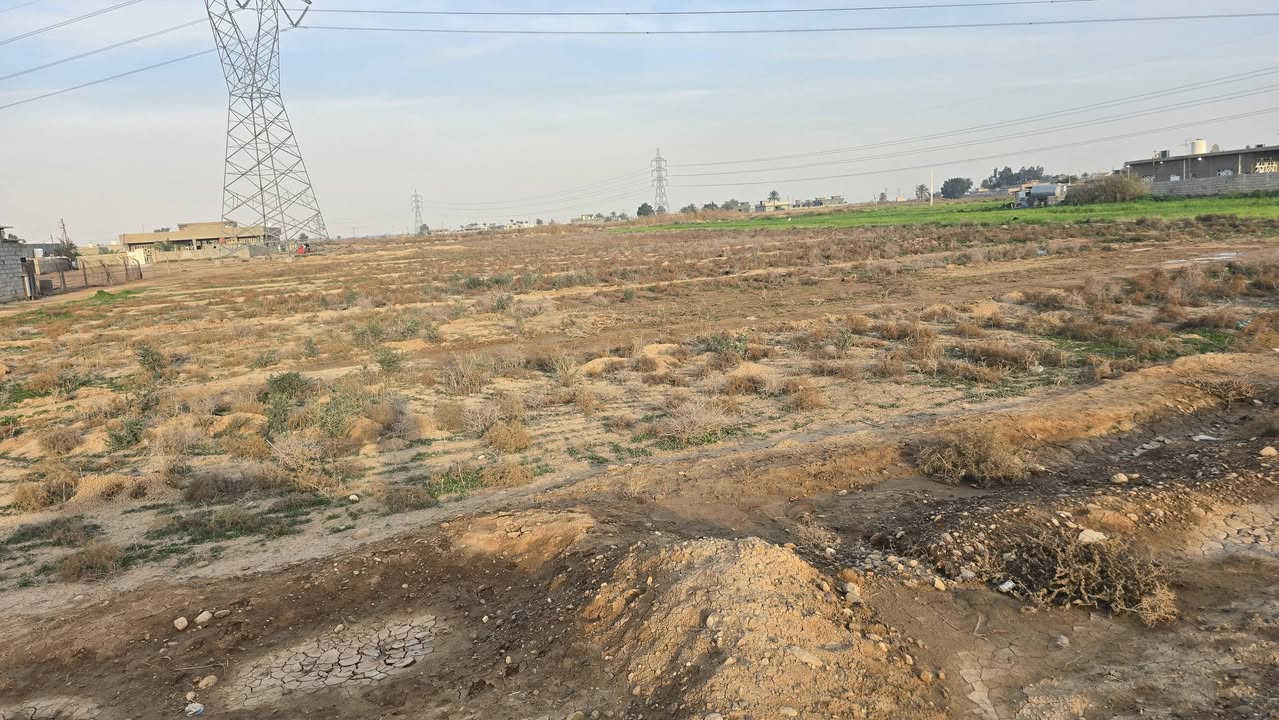 السلام عليكم 4 دوانم للبيع
الموقع تقاطع النهروان قريه 8 القطعه واصللهه مي وكهرباء وتبليط وتبعد عن الشارع العام كيلوين للاستفسار الاتصال على هذا الرقم ***********
