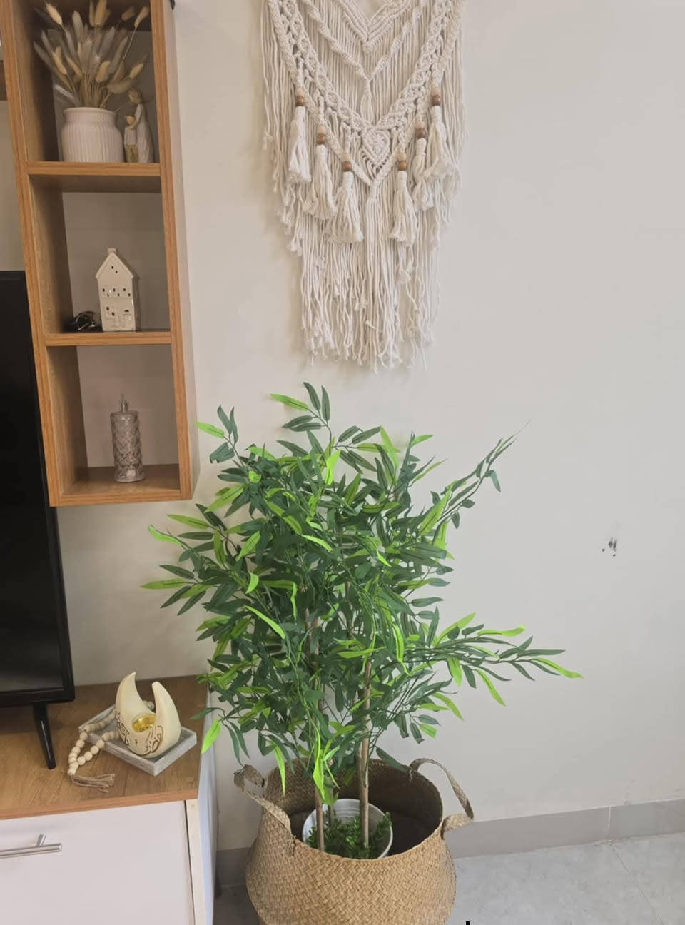 عندي بضاعه منزلي اسعار مناسبه tiktok.com/@issra17647تابعوني تيكتوك حتى افتح بث كونو سبب برزقي 😘


**إذا كنت صاحب هذا الإعلان وتريد حذفه لأي سبب، رجاءا أرسل رسالة إلى الدعم الفني**